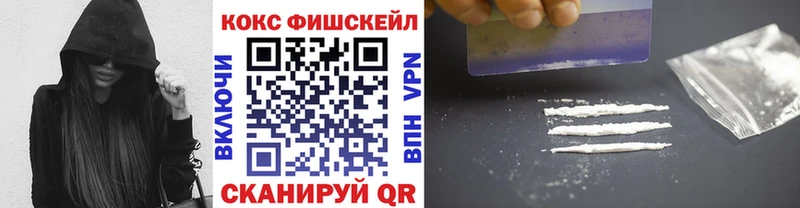 Купить  Сычёвка  Cocaine Fish Scale