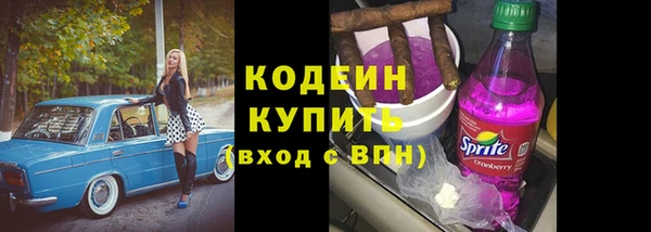 дмт Пересвет