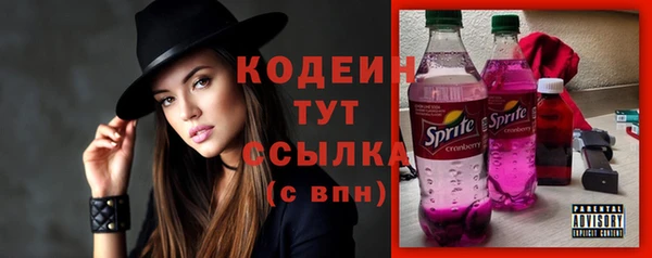 дмт Пересвет