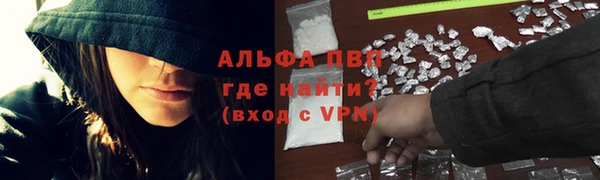 дмт Пересвет