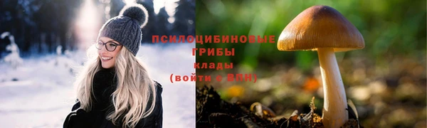 jwh Пестово