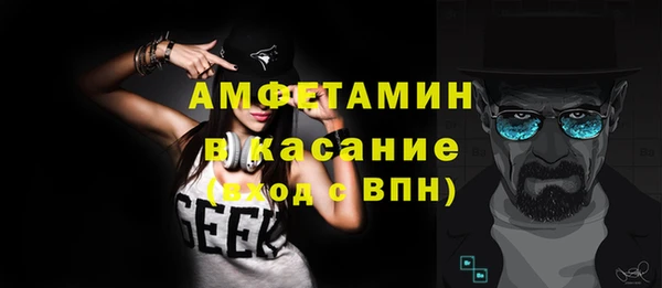 дмт Пересвет