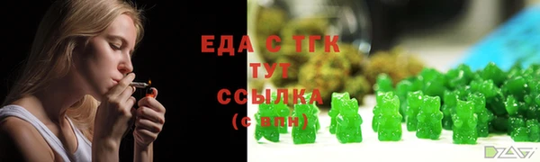 дмт Пересвет