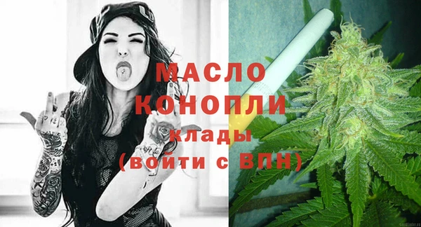 дмт Пересвет