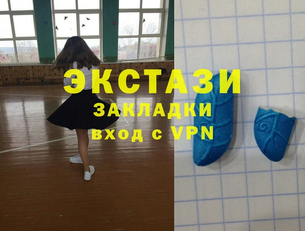 дмт Пересвет