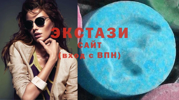 дмт Пересвет